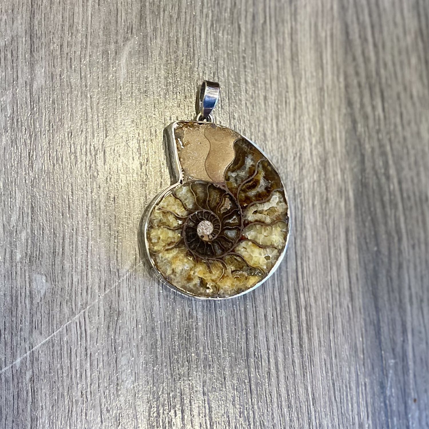 Ammonite Fossil Amulet Pendent .925