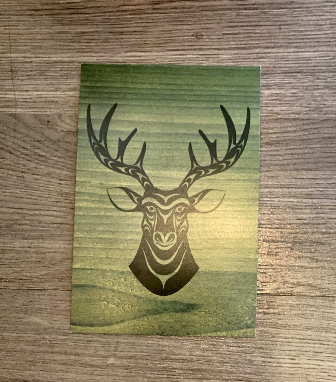 Post Card - Deer