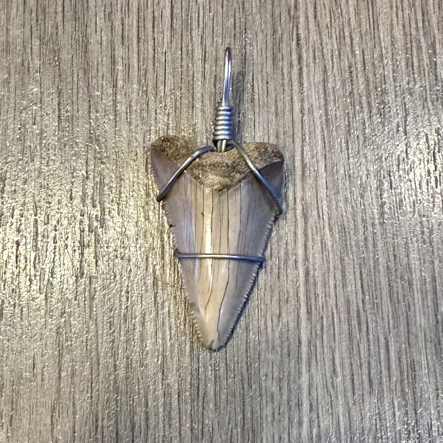 Shark Tooth Pendant