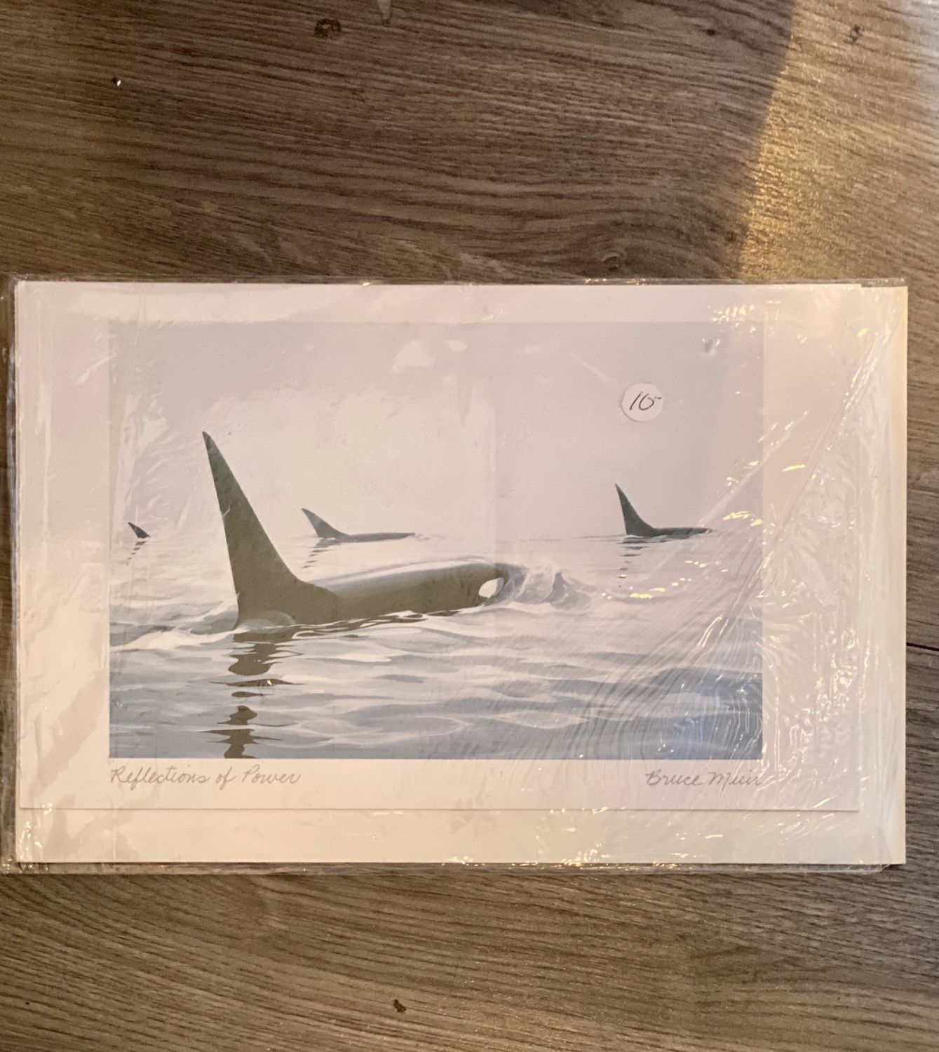 Card - Reflection of Power