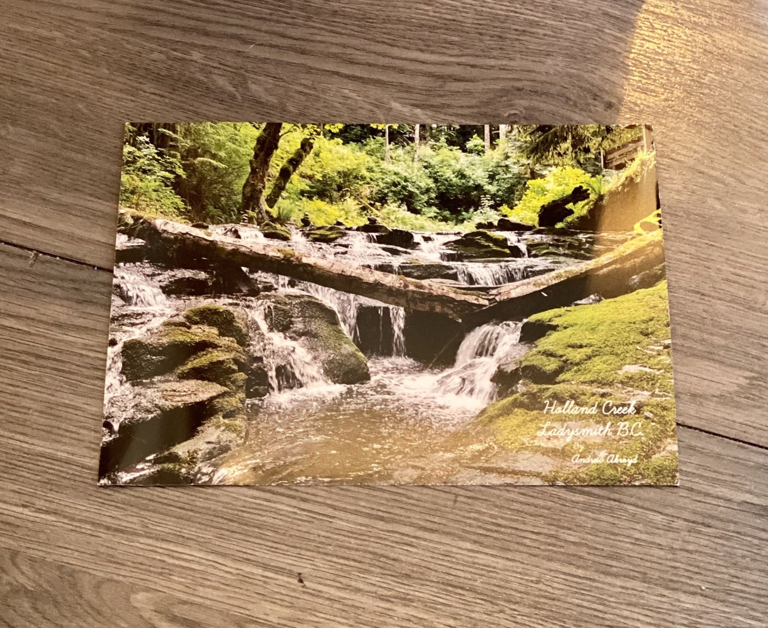 Post Card - Holland Creek
