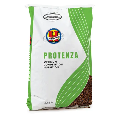 Protenza