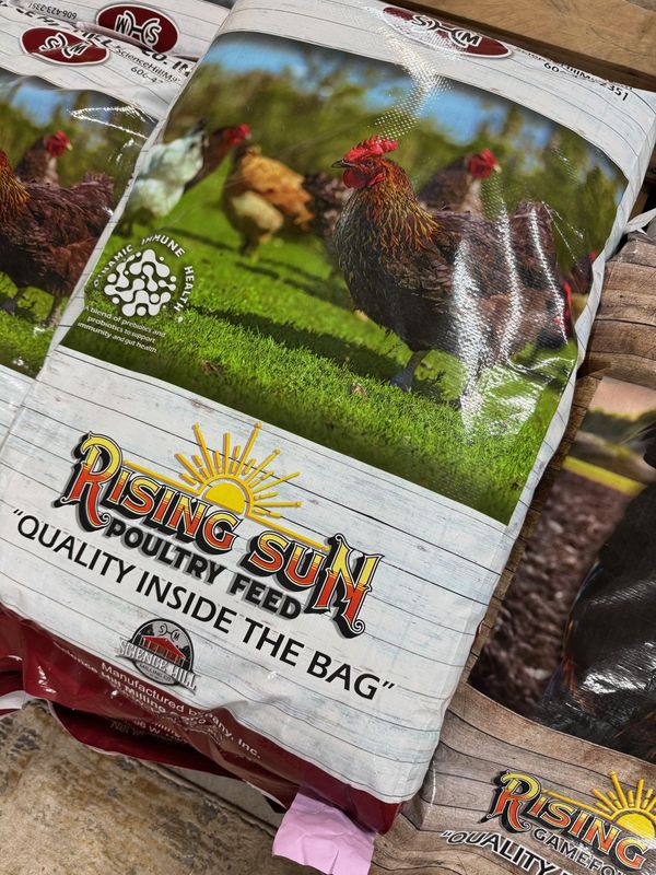 Rising Sun Hen Supreme