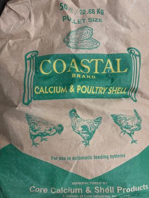 Oyster Shells
