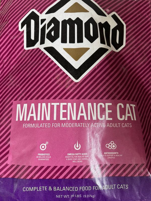 Diamond- Maintenance Cat