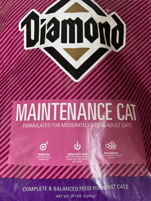Diamond- Maintenance Cat