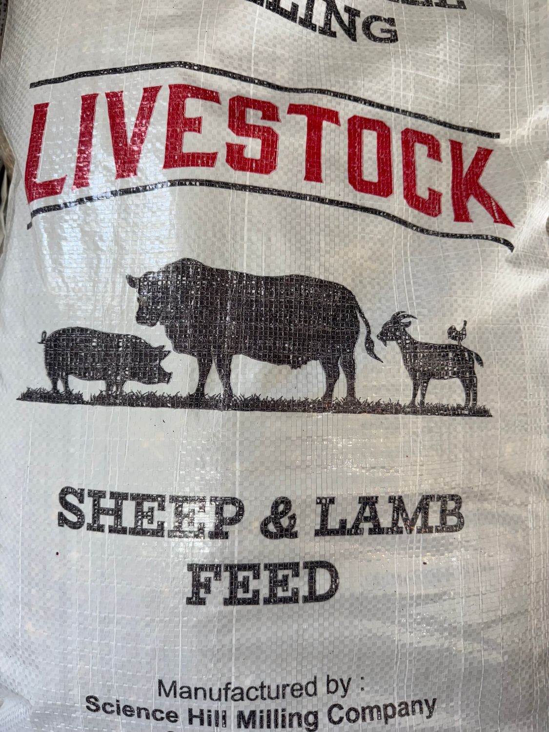 Sheep Feed 14%