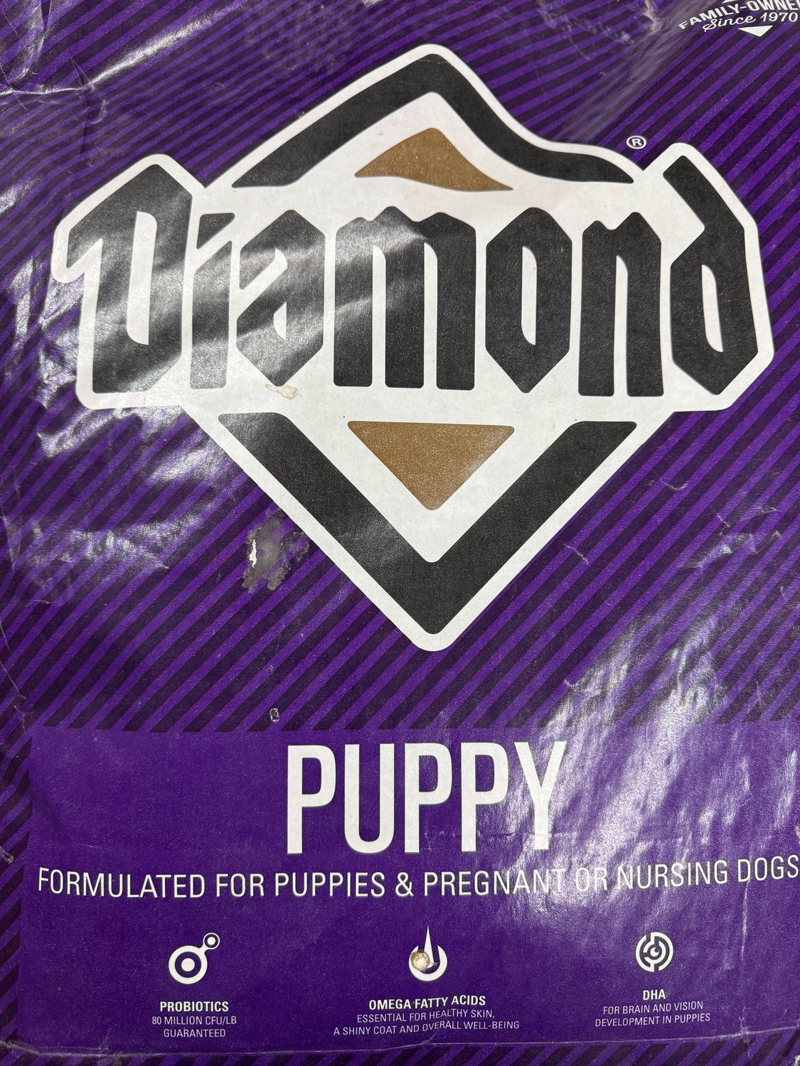 Diamond Puppy