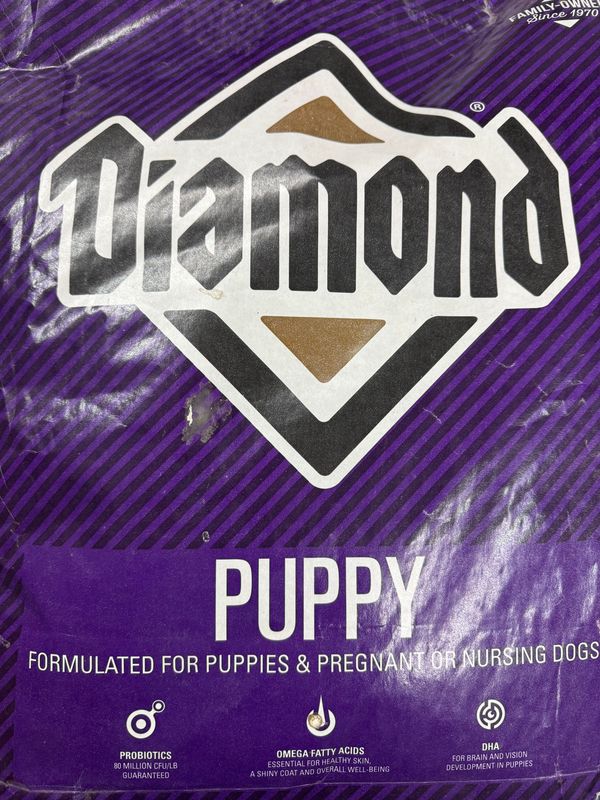 Diamond Puppy