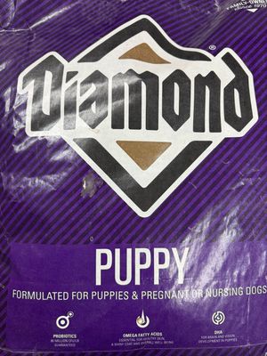 Diamond Puppy