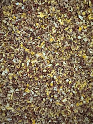 QF 3 Grain Scratch (NON-GMO)
