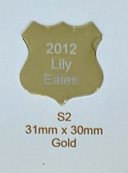 S2 Shields DIY Perpetual Trophy
