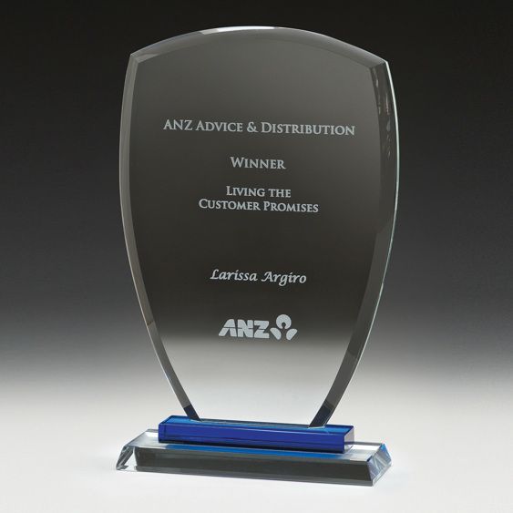 Blue Shield Award 