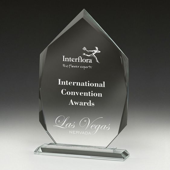 Integrity Arrowhead 