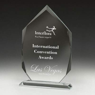 Integrity Arrowhead  - CT630S