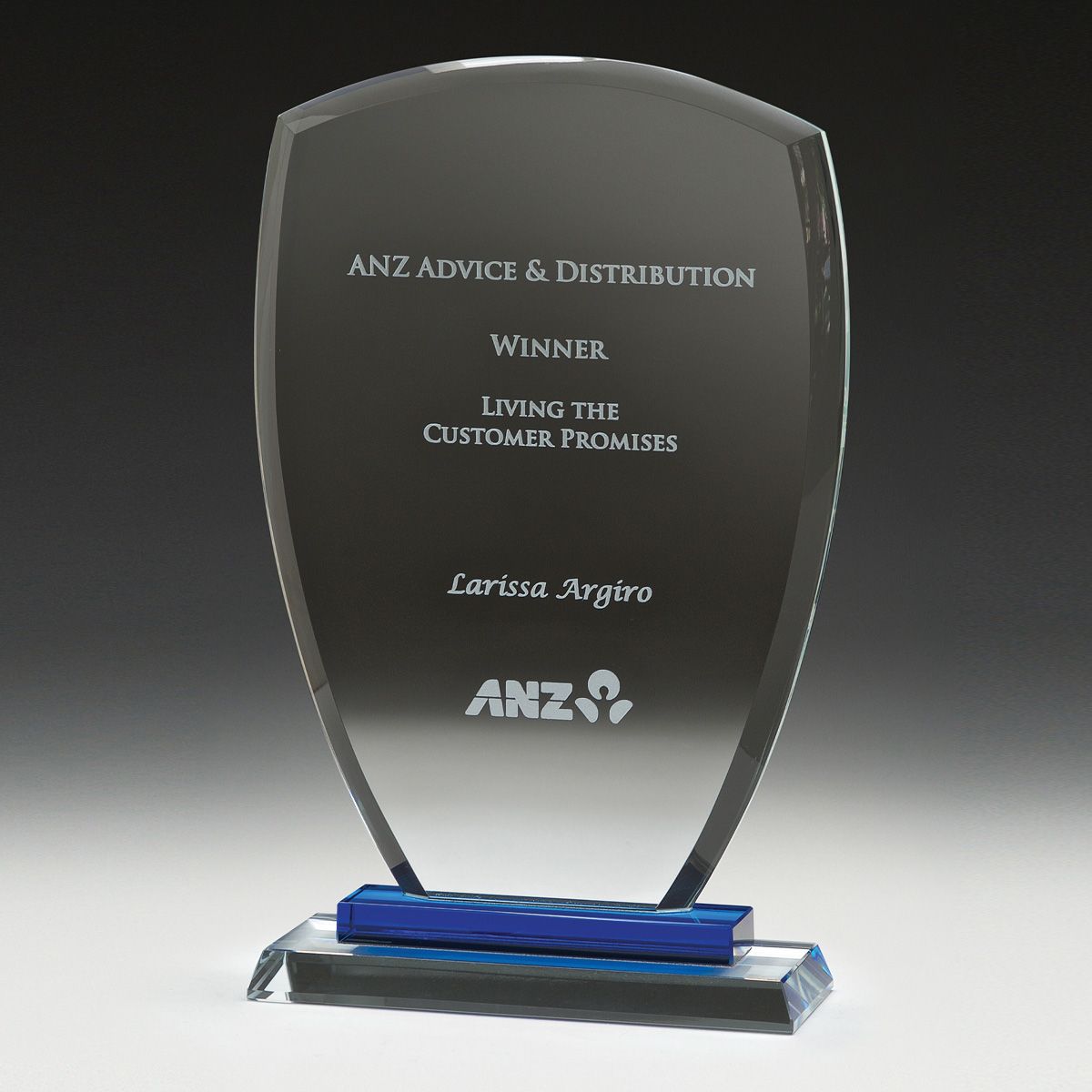Blue Shield Award 