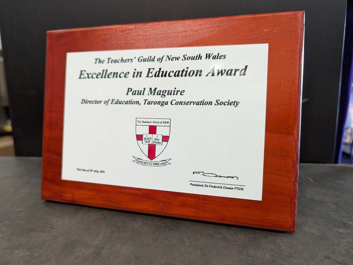 Pine wood plaque Red 200x140mm