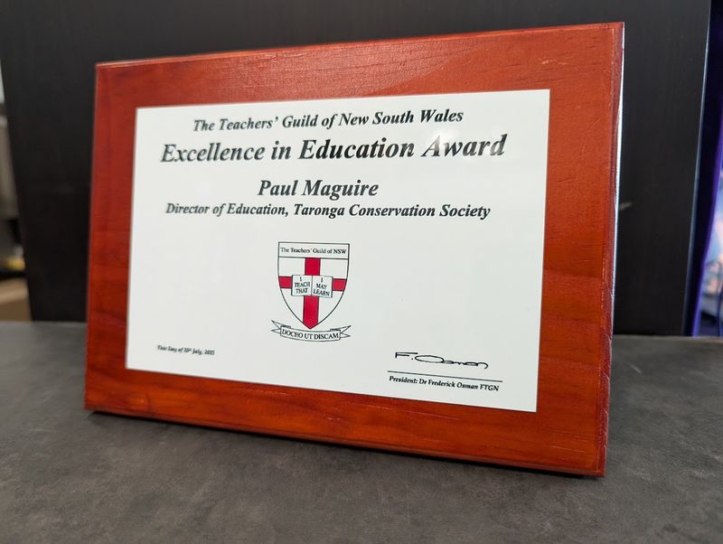 Pine wood plaque Red 200x140mm