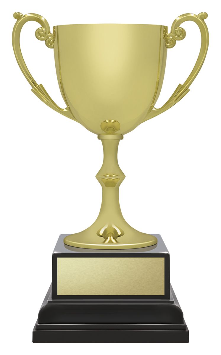 Ace Recognition Gold