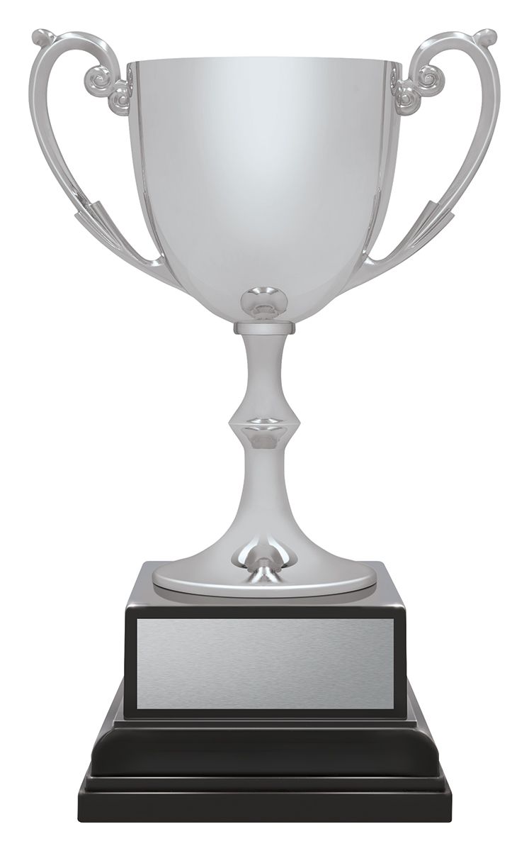 Ace Recognition Silver