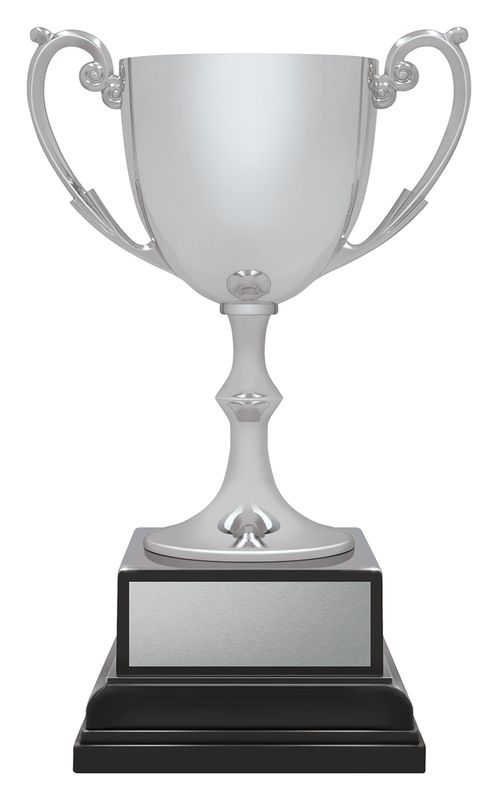 Ace Recognition Silver