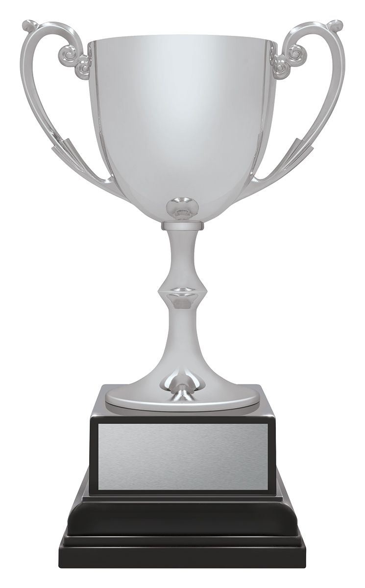 Ace Recognition Silver