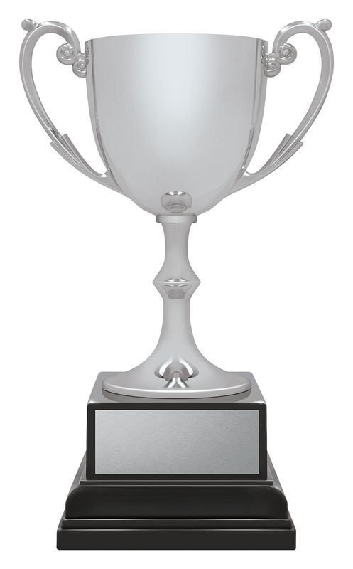 Ace Recognition Silver