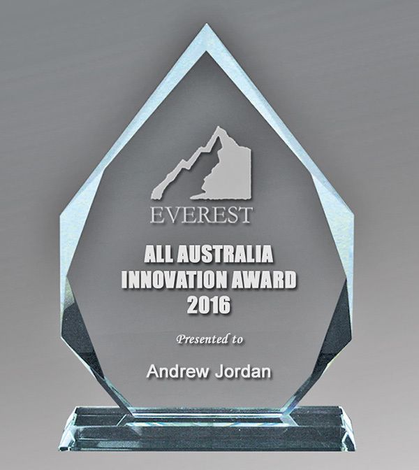 1334-1 Clear Glass Aworrowhead 195mm