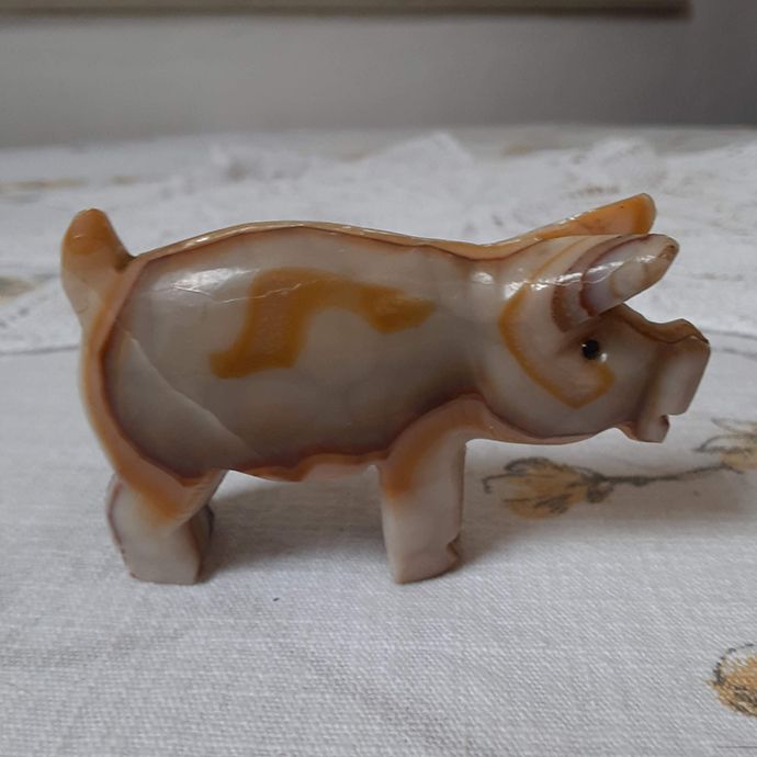 Swirly Swine
