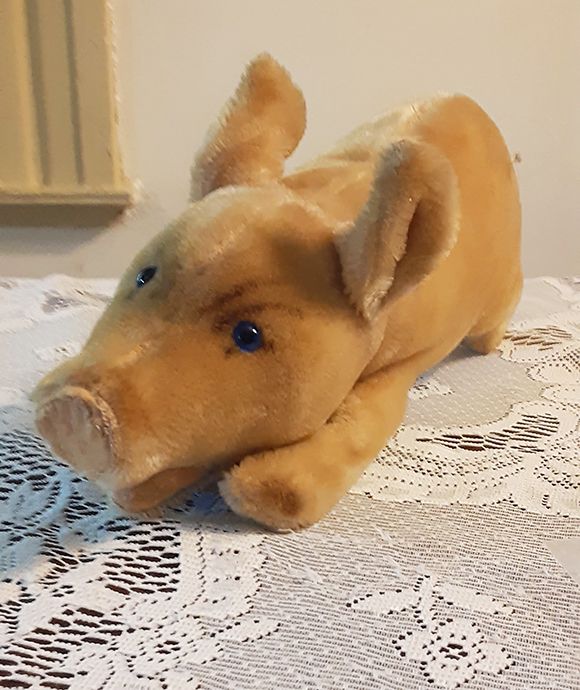 Snout