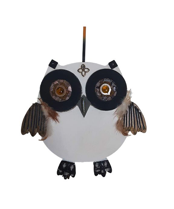 Backyard Owl