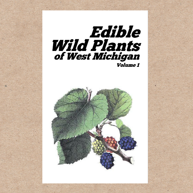 Edible Wild Plants zine for West Michigan (Midwest & Eastern United States)
