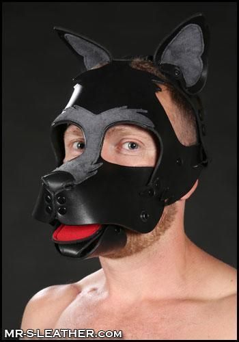 Mr-S Leather Howler Muzzle: Dark Grey