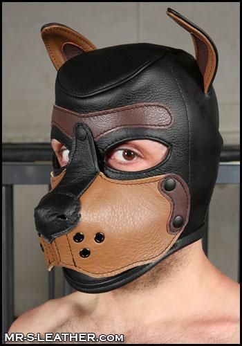 Mr-S K9 Leather Hood: Black &amp; Tan
