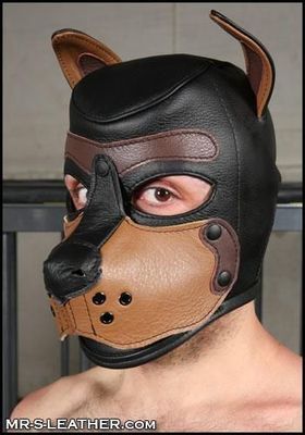 Mr-S K9 Leather Hood: Black &amp; Tan