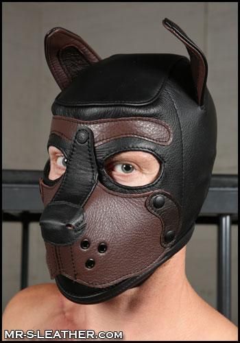 Mr-S K9 Leather Hood: Black &amp; Brown
