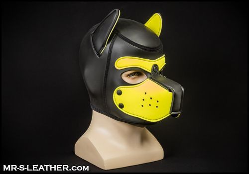 Mr-S Neoprene Puppy Hood: Yellow