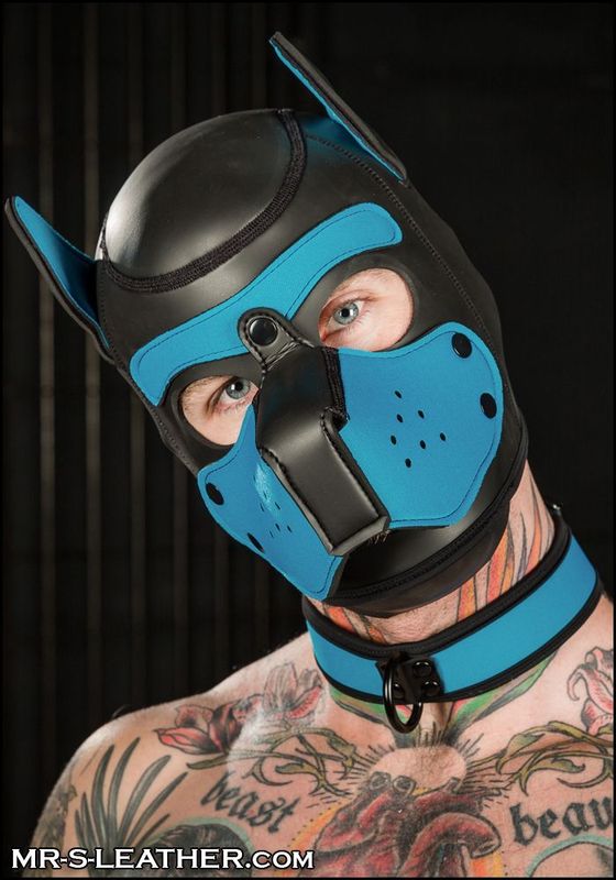 Mr-S Neoprene Puppy Hood: Aqua