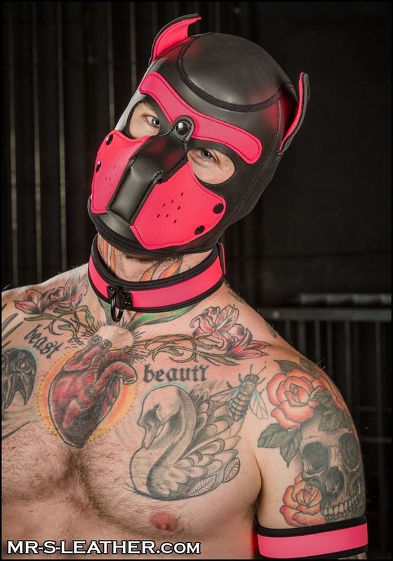 Mr-S Neoprene Puppy Hood: Pink