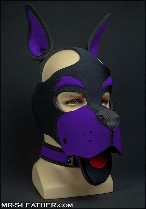 Neo WOOF! Head Harness Purple