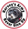 Harveys Army Store