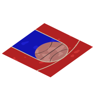 Backyard Basketball Court