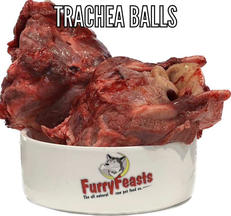Meaty Trachea Ball X1