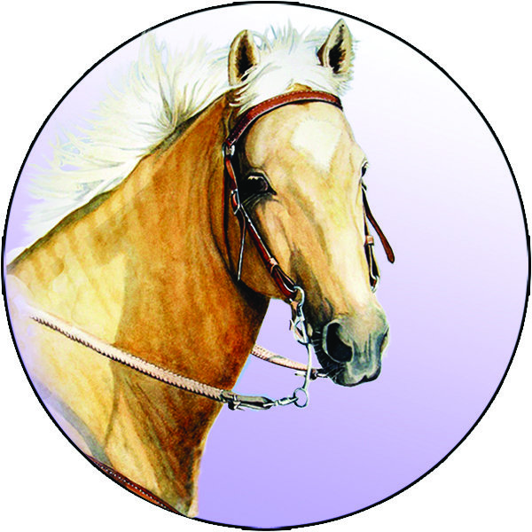 Pure Form Equine Online