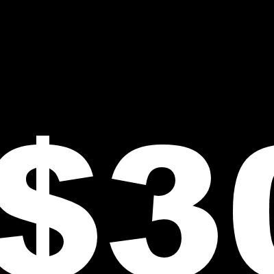 $300-$399