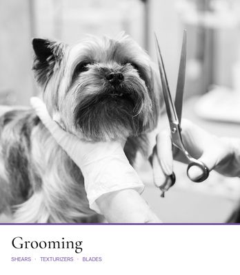 Grooming