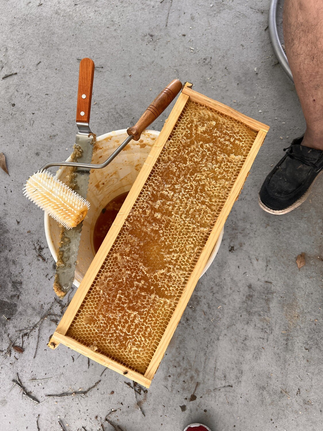Local Honey