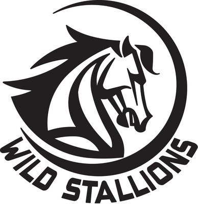 Wild Stallions
