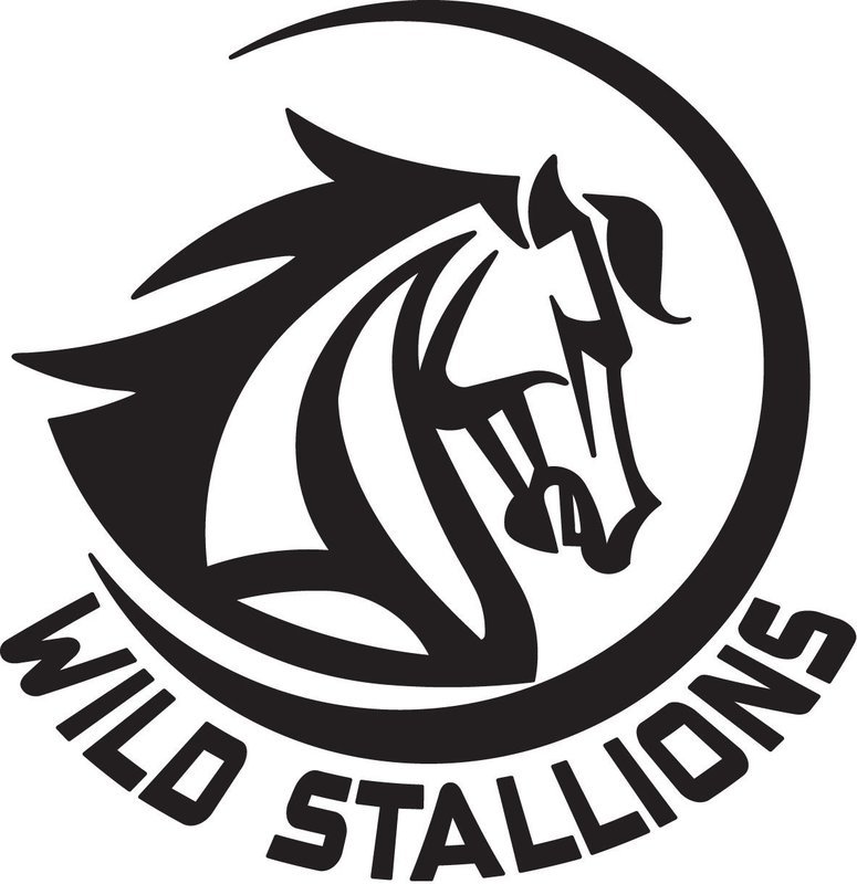 Wild Stallions