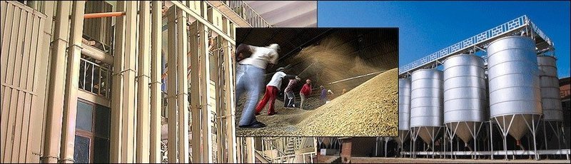 Rice Kraft